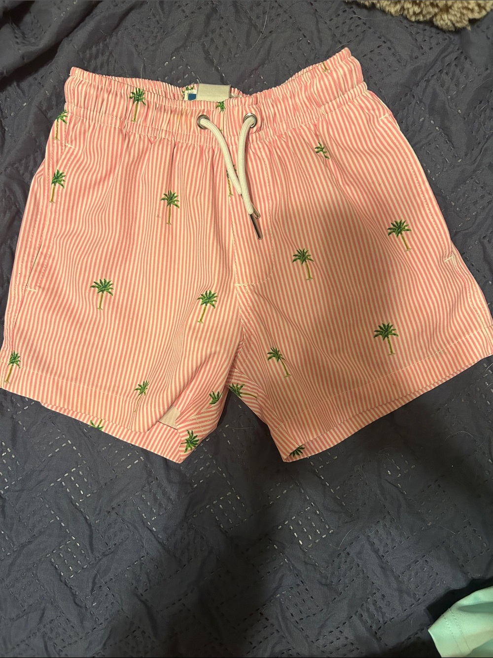 Kids Pink Striped Palm-Print Swim Trunks